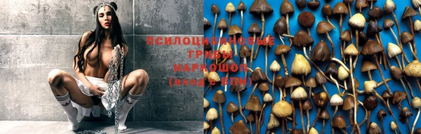 не бодяженный Богородицк